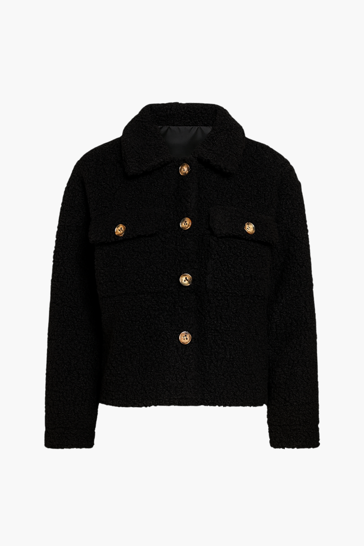 Dakota Teddy Shacket